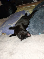 /album/20-10-2025/afbeelding-van-whatsapp-op-2025-10-19-om-21-10-09-6330d9a7-jpg/